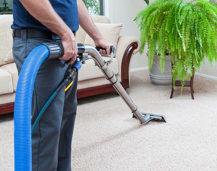 person using professional machine to clean carpet