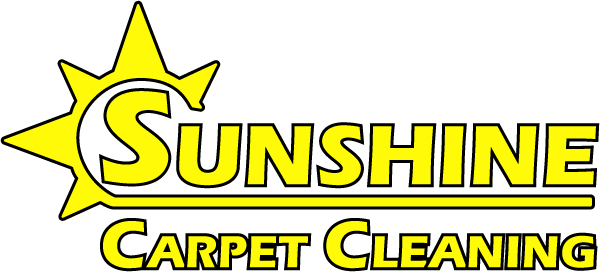 Best Carpet Cleaning Service In 2020 How To Clean Carpet Carpet Cleaning Service Commercial Carpet Cleaning
